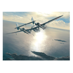 RH049 - P-38 LIGHTNING