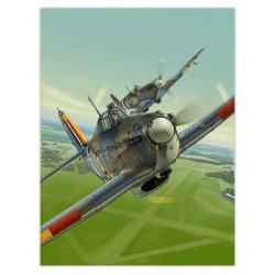 RH207 - Hurricane