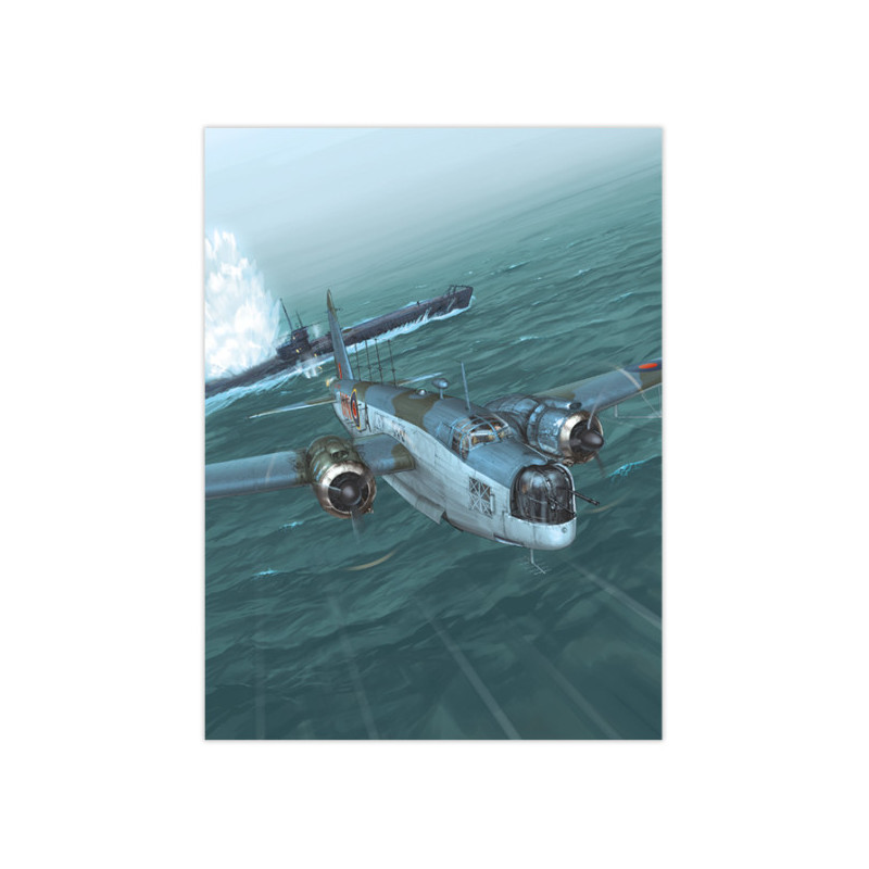 RH216 - Wellington