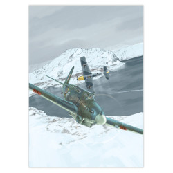 RH215 - Fulmar