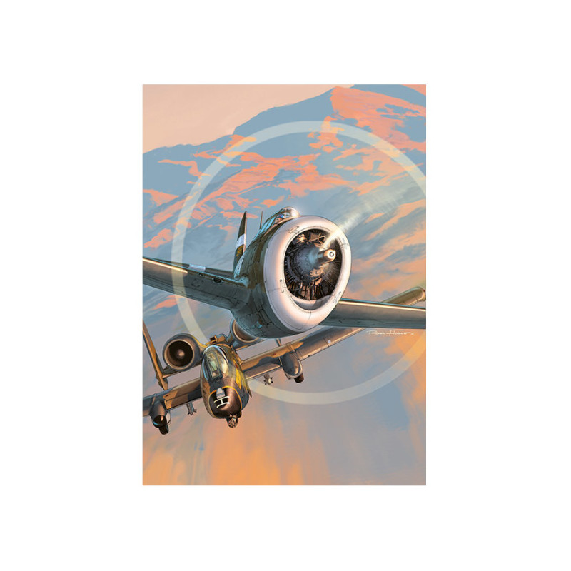RH232 - P-47