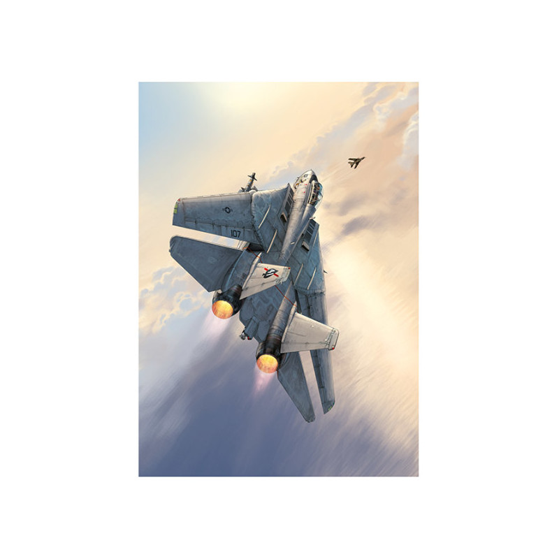 RH226 - Tomcat Grand format
