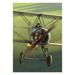 RH001 - Biplan