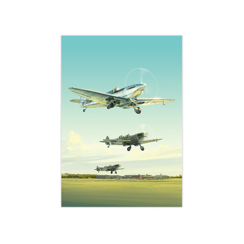 RH209 - Spitfire