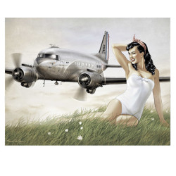 TDC006 - DC3 -Stella
