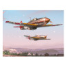RH331 - Kawasaki Ki-61 Hien